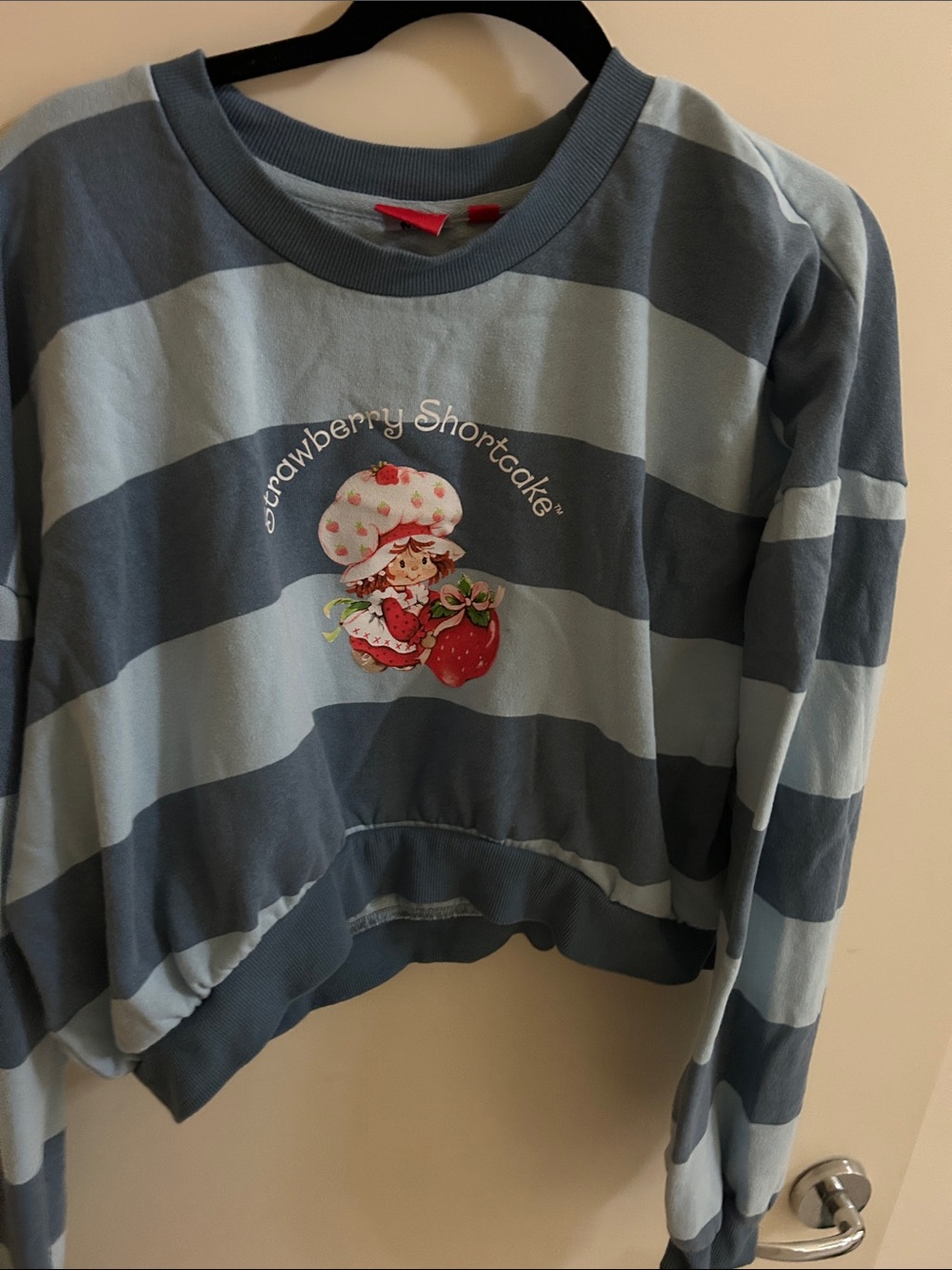 Blue Striped Sweatshirt